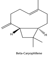 Jundishapur J Nat Pharm Prod