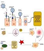 Int J Endocrinol Metab