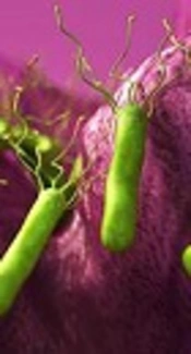 Lousy Suggestion of Second-Line Therapy Against <i>Helicobacter pylori</i>