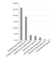International Journal of Infection 