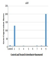 Archives of Clinical Infectious Diseases