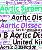 Multidiscip Cardio Annal