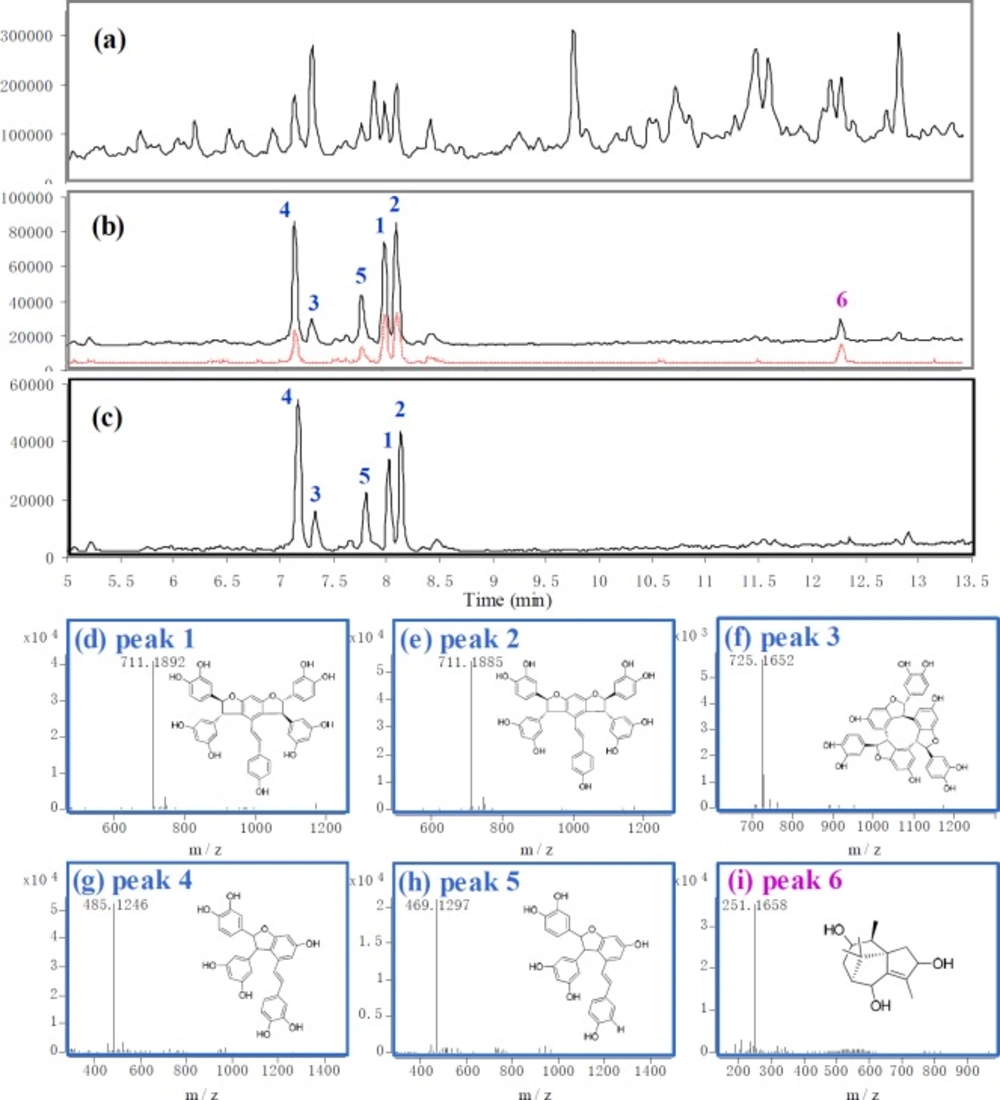 Screening results of <i>C</i>. <i>rotundus </i>by using affinity capture method. (a) TIC of <i>C</i>. <i>rotundus </i>extract. (b) TIC of the binders screened out from <i>C</i>. <i>rotundus </i>extract. The black solid line represents the binders absorbed on immobilized α-glucosidase. The red dotted line represents the binders absorbed on blank supports (false positive). (c) TIC of the highly-affinity ingredients, which was made by subtracting the signal of false positive. (d)-(i) The accurate mass spectrum and structure of peak 1-6 (cyperusphenol A, mesocyperusphenol A, cyperusphenol D, scirpusins B, scirpusins A, sugetriol)