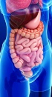 Peritoneal Dialysis-Related Peritonitis; Tiptoeing Through the Better Approach