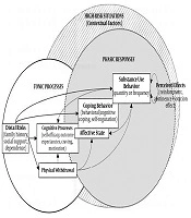 International Journal of High Risk Behaviors and Addiction