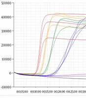 Jundishapur J Microbiol