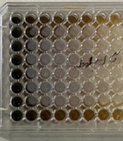 Jundishapur J Nat Pharm Prod