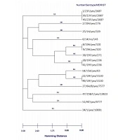 Jundishapur J Microbiol