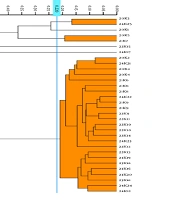 Jundishapur J Microbiol