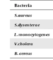 Gene, Cell and Tissue