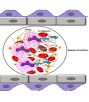 J Adv Immunopharmacol