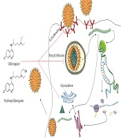 International Journal of Health and Life Sciences