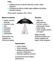 International Journal of Cancer Management