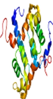 Association of Genetic Variations in <i>XRCC1</i> and <i>ERCC1</i> Genes with Sporadic Breast Cancer