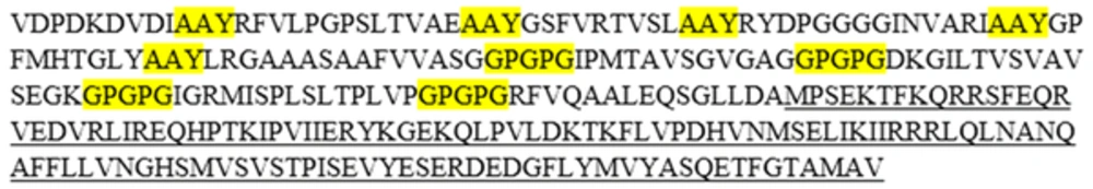 Structure of Amino Acid Sequence of Final Construct. MHC Class I and II Epitopes of Antigens Which Joined Together by Appropriate Linkers Indicating the Position of Epitopes. AAY Linkers Was Applied to Fuse MHC Class I-Restricted Epitopes, GPGPG Linkers Was Utilized to Link MHC Class II-Restricted Epitopes and LC3 Directly Fused to MHC Class II-Restricted Epitopes. Linkers Showed With Highlight and LC3 Showed with Underlined Sequence Structure of Amino Acid Sequence of Final Construct. MHC Class I and II Epitopes of Antigens Which Joined Together by Appropriate Linkers Indicating the Position of Epitopes. AAY Linkers Was Applied to Fuse MHC Class I-Restricted Epitopes, GPGPG Linkers Was Utilized to Link MHC Class II-Restricted Epitopes and LC3 Directly Fused to MHC Class II-Restricted Epitopes. Linkers Showed With Highlight and LC3 Showed with Underlined Sequence
