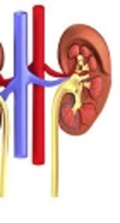 WITHDRAWN: Incidence of Pregnancy Related-Acute Kidney Injury and Urological Co-Morbidities in Morbidly Adherent Placenta: A Potential Challenge to AKI-0by25 Initiative