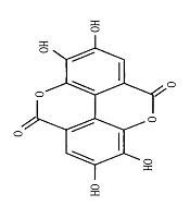 Jundishapur Journal of Natural Pharmaceutical Products