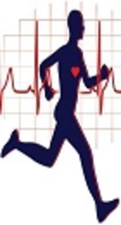 Acute and Recovery Effects of Aerobic Exercise on Serum Interleukin-6 in Adult Male Smokers