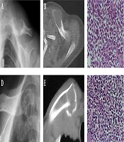 Iranian Journal of Radiology