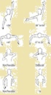 The Relationship between Range of Motion and Function of Upper Extremity in Obstetric Brachial Plexus Palsy Patients Treated with Tendon Transfer