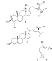 Iran J Pharm Res