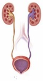 Dimercaptosuccinic Acid Scan as an Alternative Diagnostic Approach in Vesicoureteric Reflux Disease