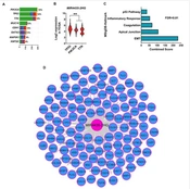 Jentashapir J Cell Mol Biol