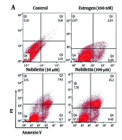 Jundishapur J Nat Pharm Prod