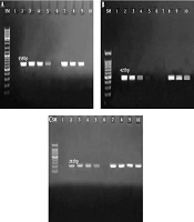 Gene, Cell and Tissue
