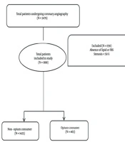 Int J High Risk Behav Addict
