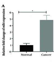 Jundishapur J Microbiol