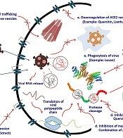 Zahedan J Res Med Sci