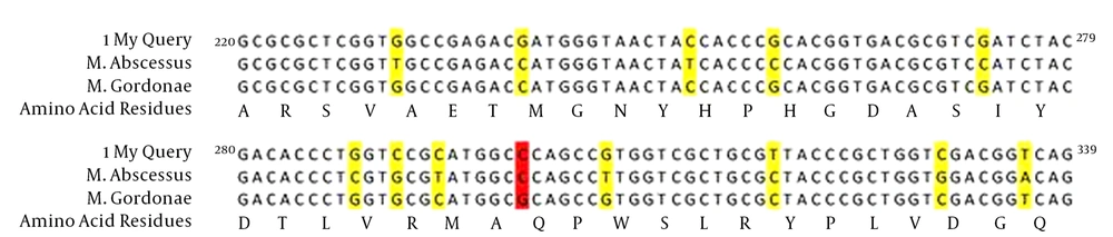 My Query: <i>M. abscessus</i> Resistant to Ciprofloxacin <i>M. abscessus</i>, <i>M. abscessus</i> ATCC 19977. The amino acid sequence of <i>M. abscessus</i> resistant to ciprofloxacin was 100% similar to <i>M. abscessus</i> ATCC 19977 (HQ324097.1) and <i>M. gordonae</i>, but the nucleotide sequence was different at 12 points (with <i>M. gordonae</i> at 13 points).