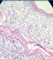 J Skin Stem Cell