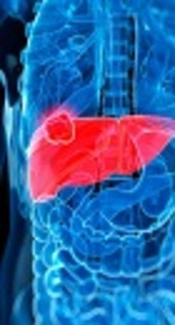 Liver Cancer Mortality at National and Provincial Levels in Iran Between 1990 and 2015: A Meta Regression Analysis