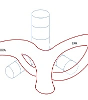 Iranian Journal of Radiology