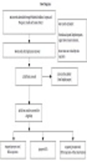 Effect of Botulinum Toxin A (BTX-A) Injection into Denervated Muscles on Synkinesis and Symmetry in Patients with Facial Nerve Paralysis