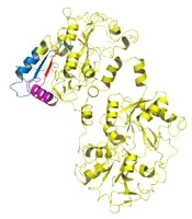 International Journal of Infection