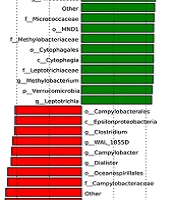 Jundishapur J Microbiol
