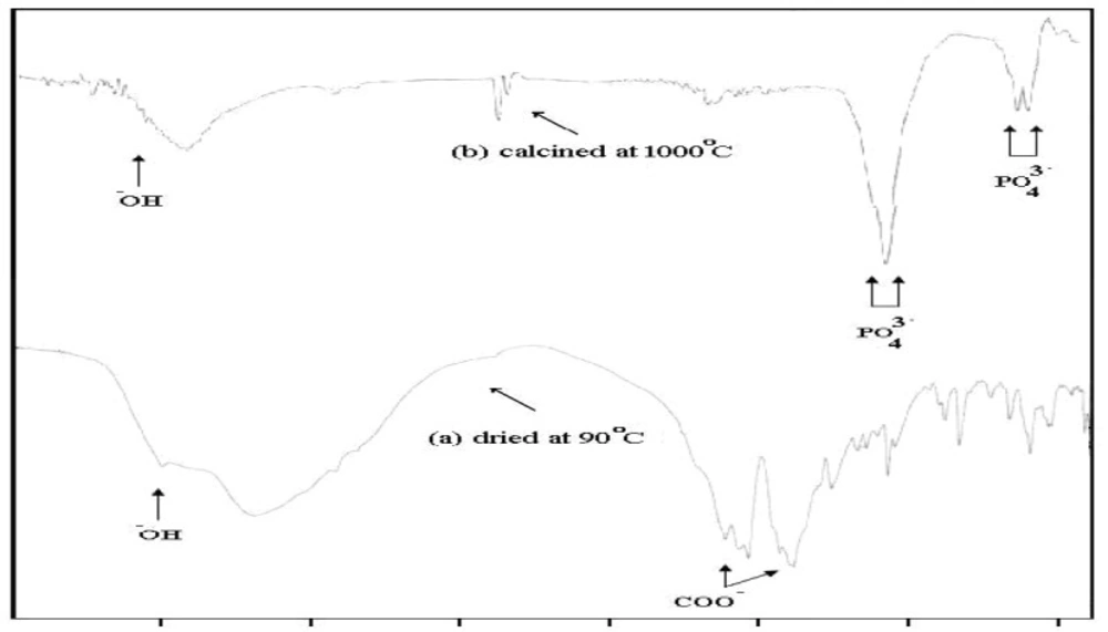 IR spectra of the sample prepared with Ca/P molar ratio 1.67 under pH control dried at 90 C and which calcined at 1000 °C