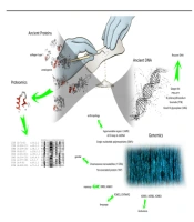 Gene Cell Tissue