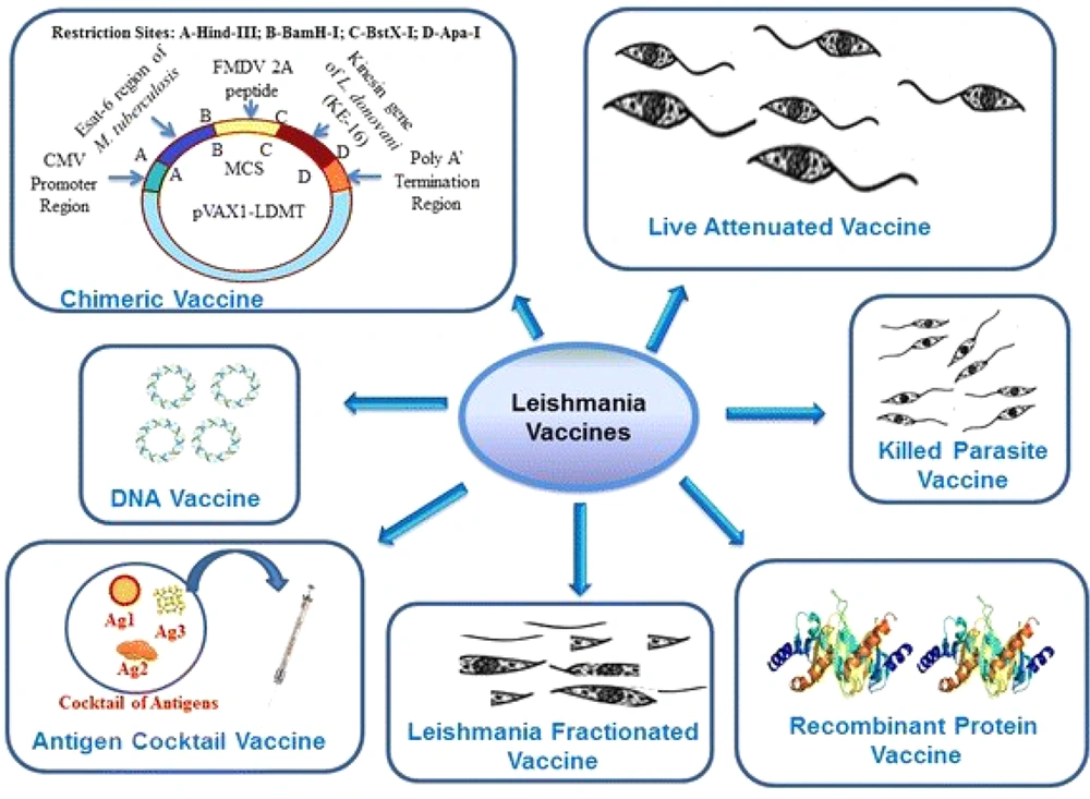 Different vaccines against leishmaniasis adapted from Srivastava et al. 2016 (<a href="#A121894REF35">35</a>). Different vaccines against leishmaniasis adapted from Srivastava et al. 2016 (<a href="#A121894REF35">35</a>).