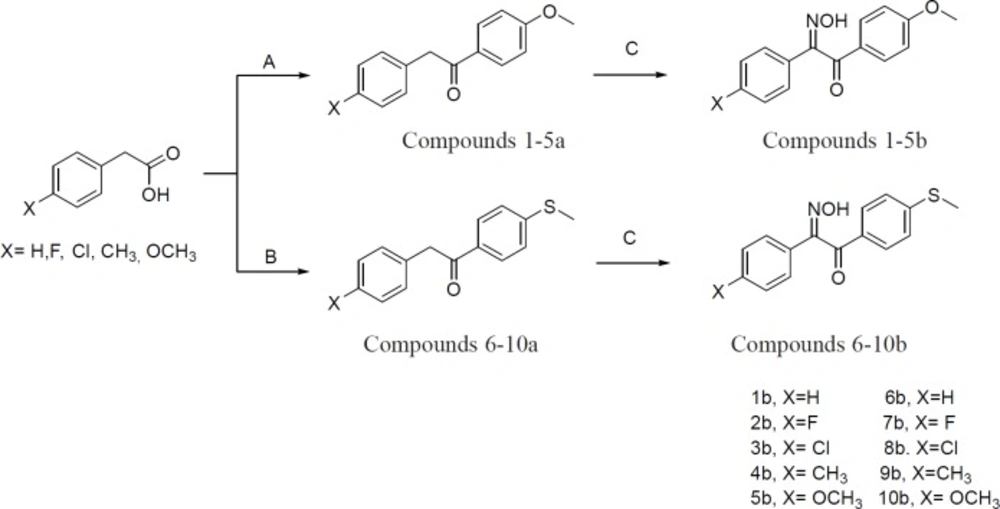 Synthetic route for compounds <b>1-10b</b>. A: (TFAA, H<sub>3</sub>PO<sub>4</sub>, Anisole, rt, stirr), B: (TFAA, H<sub>3</sub>PO<sub>4</sub>, Thioanisole, rt, stirr), C: (CH<sub>3</sub>OH, NaOCH<sub>3</sub>, BuONO, rt, stirr)