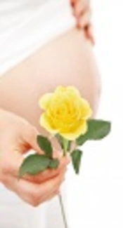 https://pxhere.com/en/photo/1258803