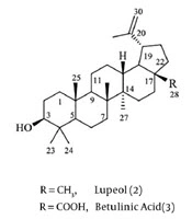 Jundishapur Journal of Natural Pharmaceutical Products