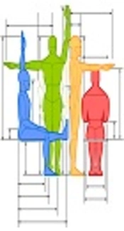 Anthropometric and Physical Fitness Comparisons Between Australian and Qatari Male Sport School Athletes