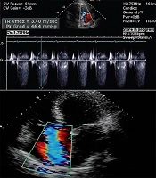 Modern Care Journal