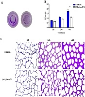 Jundishapur Journal of Microbiology