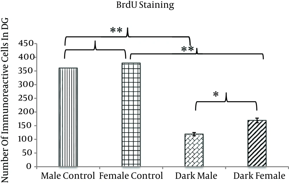 The Number of BrdU Positive Neurons in the DG Area of the Hippocampus in the Trial and Control Groups The number of BrdU positive neurons in the DG is significantly lower in dark males and females as compared with control groups. The difference between the two trial groups is significant, with the number of BrdU positive neurons in dark male animals significantly lower than in dark female animals. There is a nonsignificant difference between the two control groups, with the number of BrdU positive neurons in male control animals nonsignificant and lower than in female control animals (*P < 0.05) (**P < 0.01).