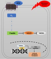 Precis Med Clin OMICS